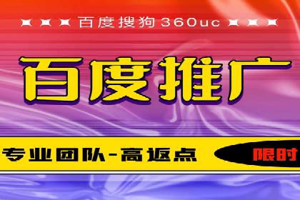 某企业通过SEM实现品牌与销售双增长的案例